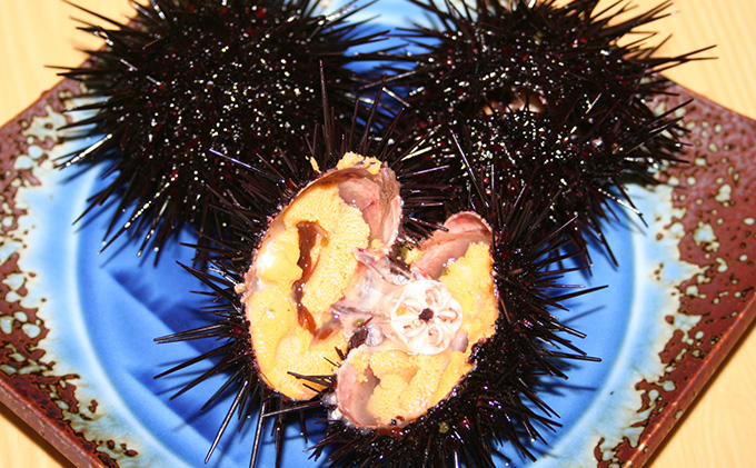 北むらさきうに缶詰（蒸しうに）100g ×2缶 ウニ 雲丹 うに うに缶 北海道: 礼文町ANAのふるさと納税