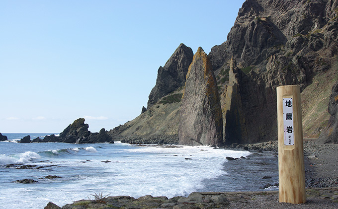 北むらさきうに缶詰（蒸しうに）100g ×10缶 ウニ 雲丹 うに うに缶 北海道
