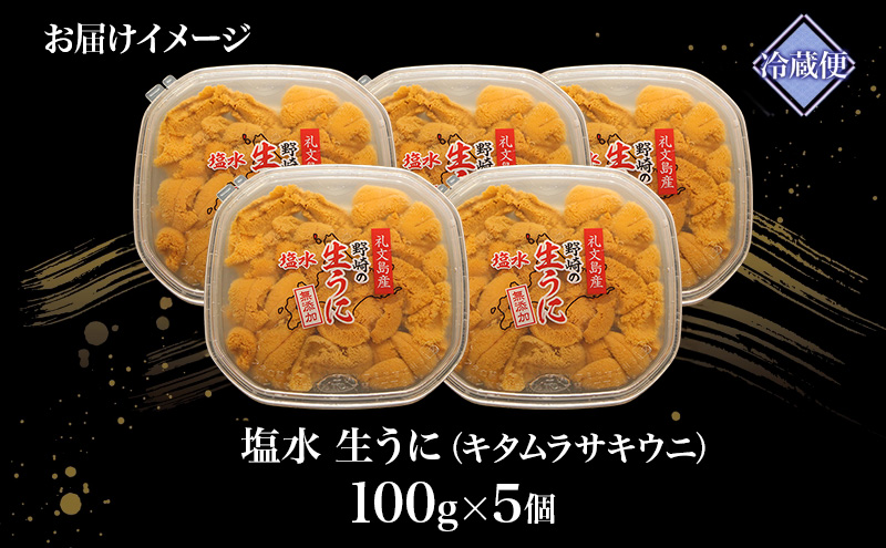 北海道 礼文島産 塩水ウニ （ キタムラサキウニ ）100g×5 生うに うに 雲丹 魚貝類 500g