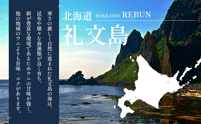 先行予約 【礼文島リボンプロジェクト】北海道 礼文島産  塩水ウニ （ エゾバフンウニ ）100g×2  生うに うに 雲丹  魚貝類 海の幸 海鮮