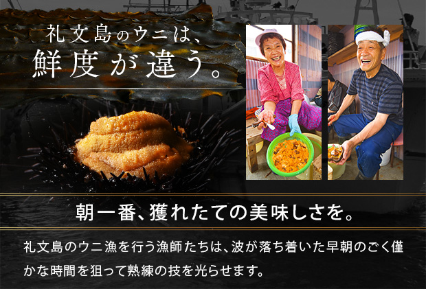 北海道礼文島産 産地直送 鮮度抜群 塩水生キタムラサキウニ 360g（90g×4パック）