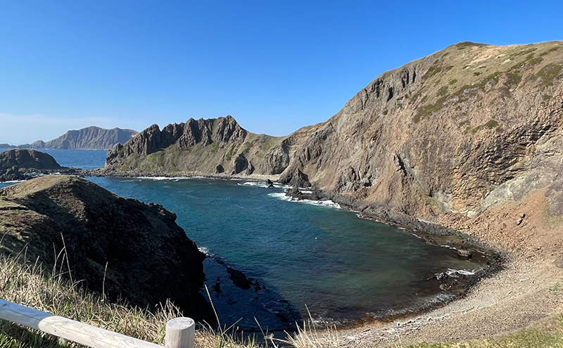 北海道 礼文島産 昆布〆 ムラサキウニ 100g×2パック