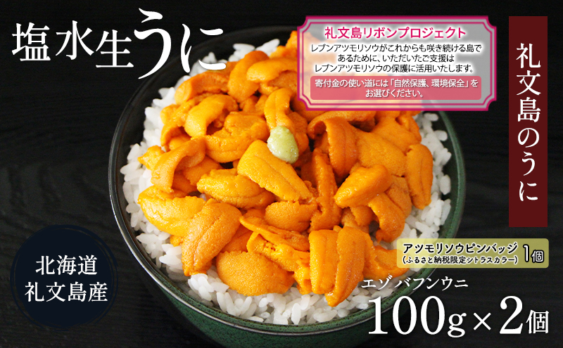 先行予約 【礼文島リボンプロジェクト】北海道 礼文島産  塩水ウニ （ エゾバフンウニ ）100g×2  生うに うに 雲丹  魚貝類 海の幸 海鮮