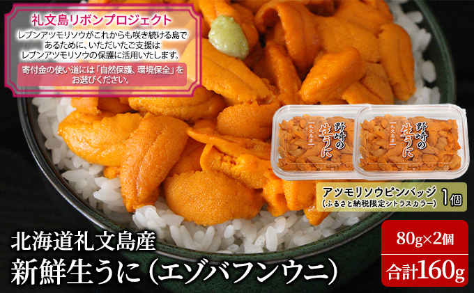 先行予約 【礼文島リボンプロジェクト】北海道 礼文島産 新鮮生うに（ エゾバフンウニ）80g×2個 ウニ 雲丹 魚貝類 海の幸 海鮮