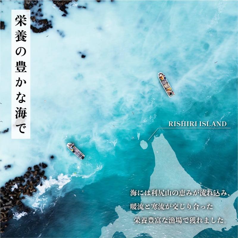 利尻島産 開きニシン5枚｜魚 干物 ひもの ニシン 開き 魚介類 利尻 [1060008]
