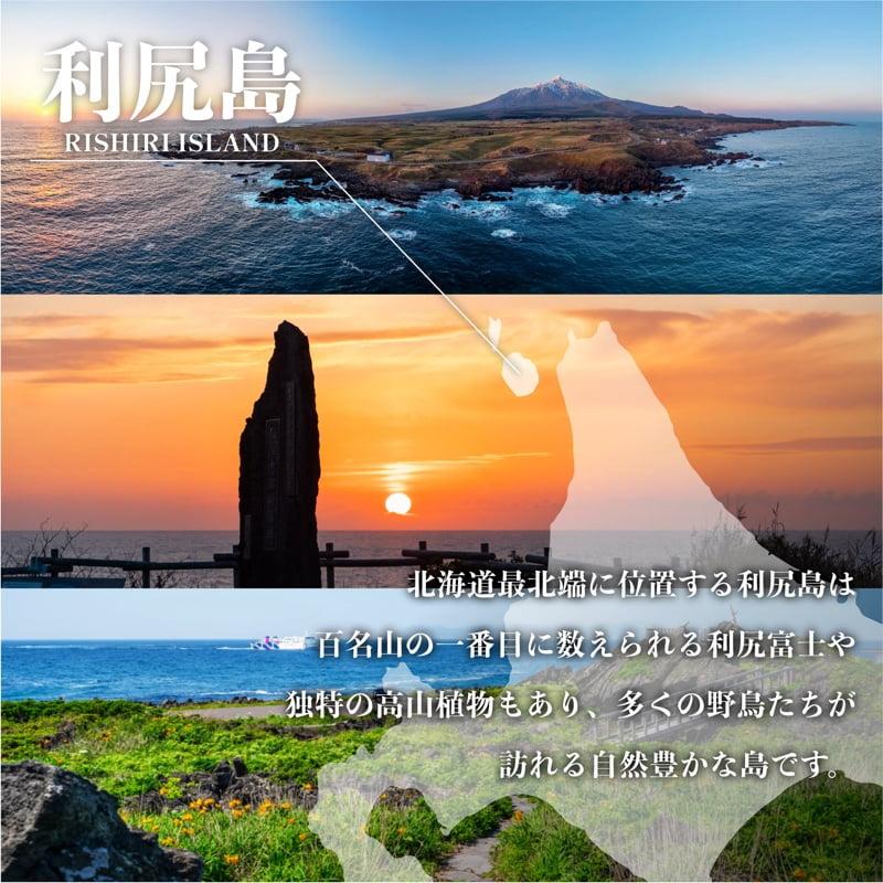 利尻島産 いくら醤油漬け 360g(180×2パック)｜天然イクラ 小分け いくら醤油漬 北海道 国産 [1110006] 180g × 2パック