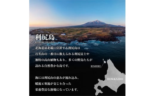 【2025年11月上旬より順次出荷】利尻昆布 北海道 利尻産 おしゃぶり利尻昆布 40g×5袋｜こんぶ コンブ だし 出汁 だし昆布 おやつ お菓子 菓子 海産物 食材 乾物 利尻 [1080002]