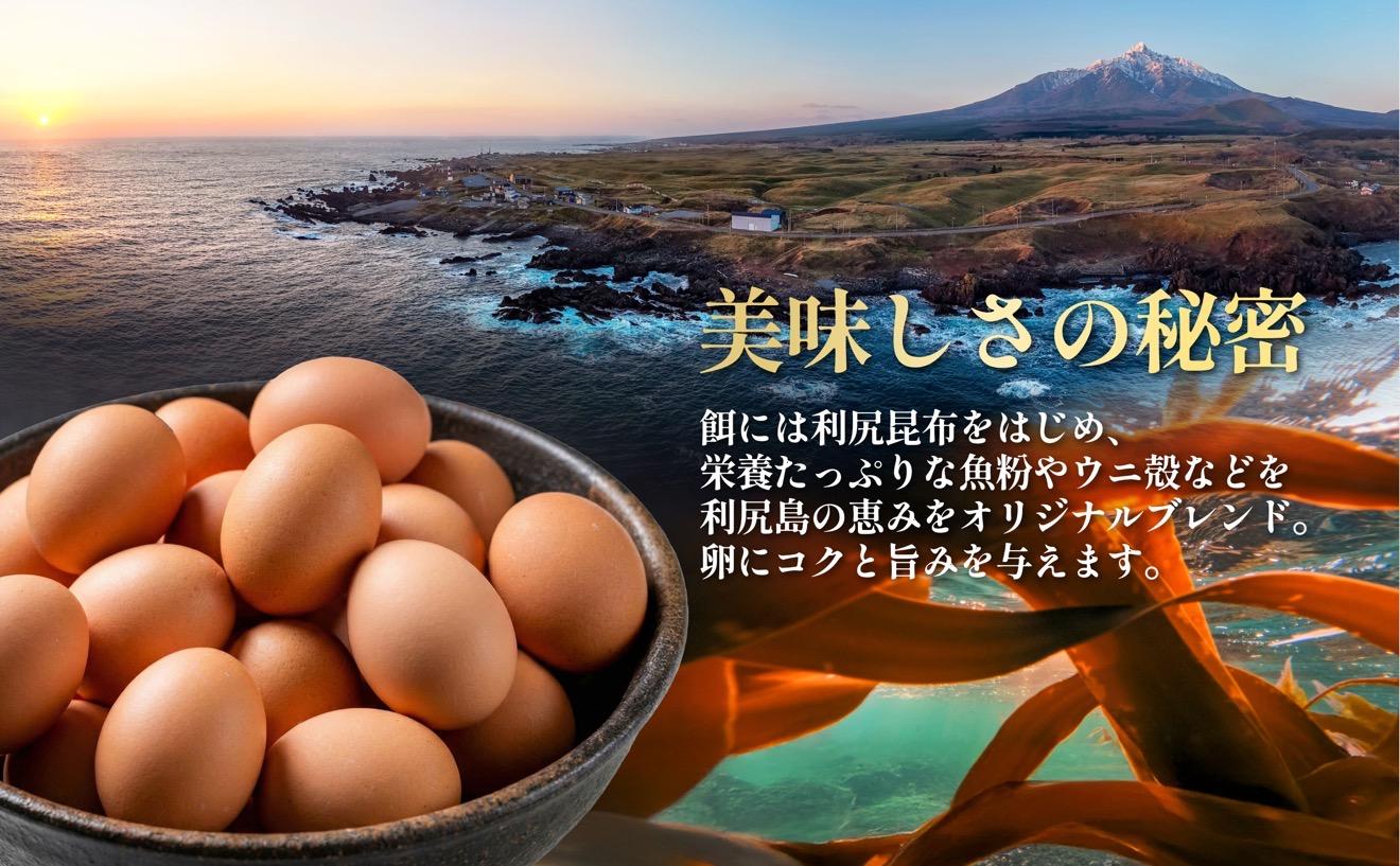 【2026年先行受付】利尻島大自然養鶏卵 「島魂」！ ６個入り×3パック（計１８個）【5月中旬より順次出荷】｜北海道 利尻島 たまご 濃厚 利尻昆布 卵かけご飯 利尻町 鶏卵 産地直送 お取り寄せ [1100006]