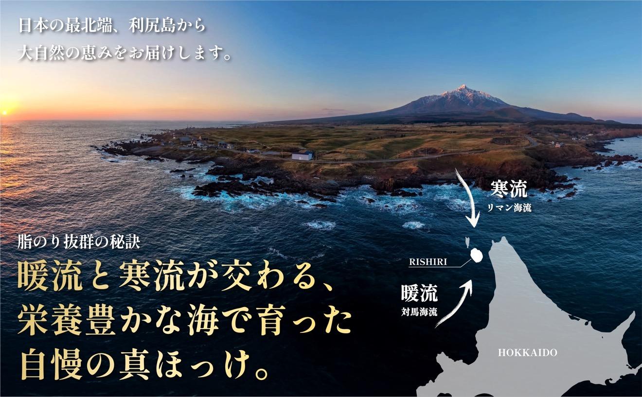 島の干物 食べ比べ ホッケ＆ニシン 開き6枚セット｜北海道 利尻島産 ひもの 開きホッケ 開きニシン 脂乗り 抜群 焼き魚 15000円 1万円台 [1060010]