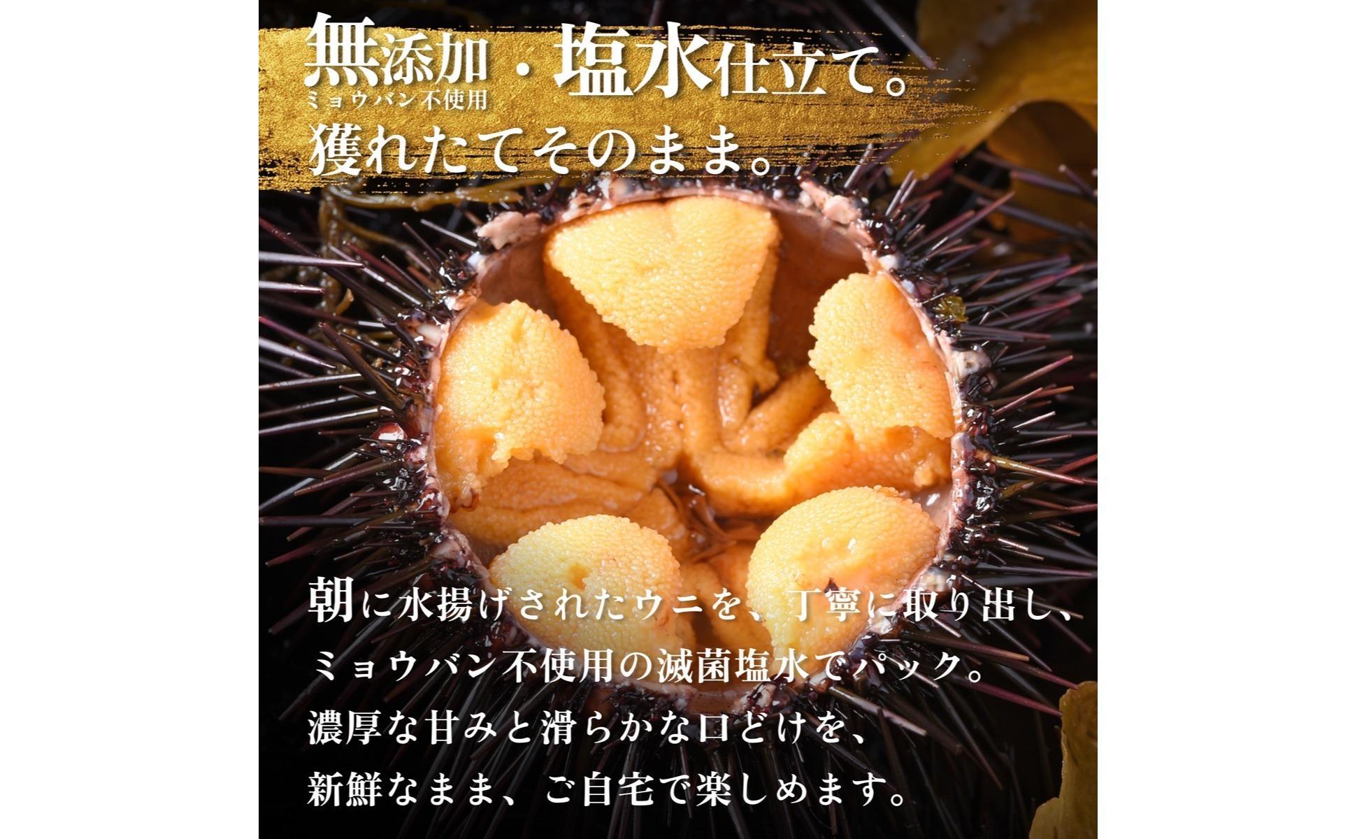 【2026年発送受付】利尻昆布育ちの天然生うに 塩水キタムラサキ 360g (90g×4p)｜北海道 朝獲れ 塩水 ウニ 無添加 ミョウバン不使用 生 うに 雲丹 国産 天然 利尻 キタムラサキ [1110011] 天然ムラサキウニ90g×4（8人前）