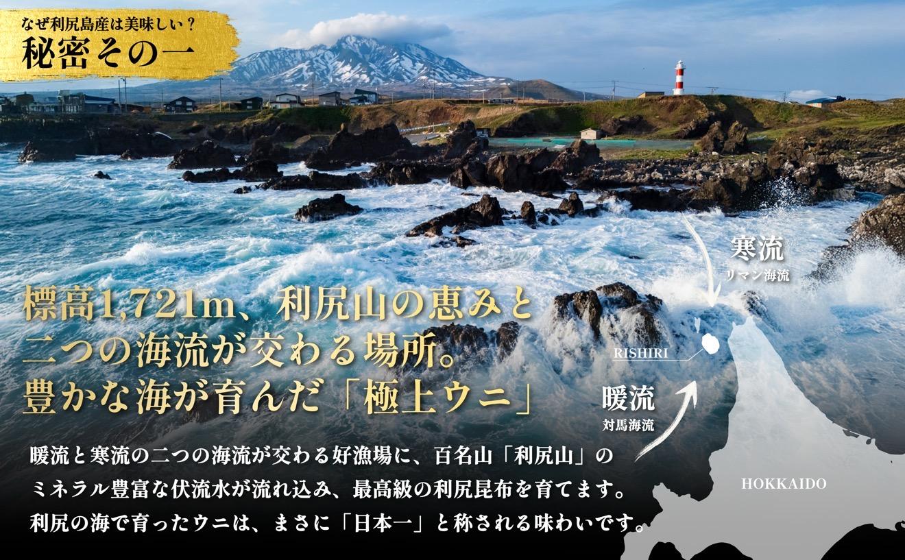 【2026年発送受付】利尻昆布育ちの天然生うに 塩水キタムラサキ 270g (90g×3p)｜北海道 朝獲れ 塩水 ウニ 無添加 ミョウバン不使用 生 うに 雲丹 国産 天然 利尻 キタムラサキ [1110010] 天然ムラサキウニ90g×3（6人前）