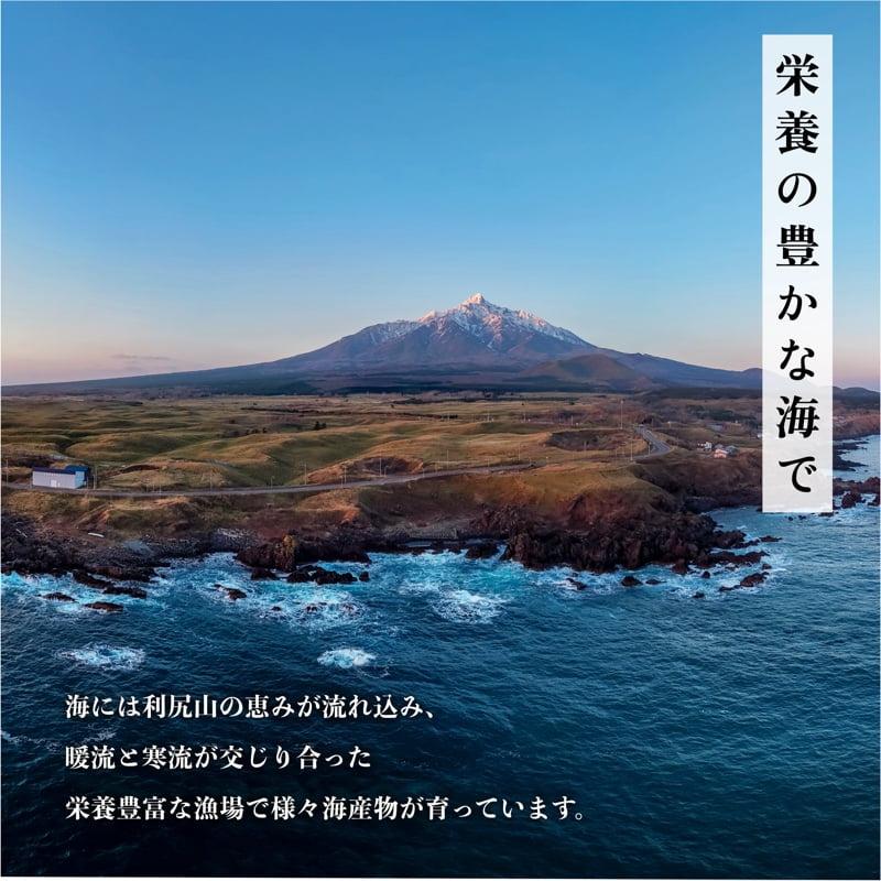 【2026年先行受付】北海道産 浜茹で毛ガニ　800g前後×1尾（未冷凍・チルド配送）利尻・宗谷産【2月より順次出荷】｜毛蟹 蟹 かに カニ味噌 蟹味噌 ボイル 海鮮 魚介 [1060048]