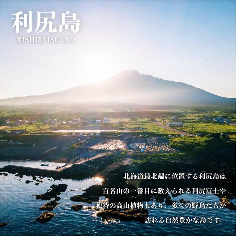 利尻島産 開きほっけ×10枚｜干物 真ほっけ 魚介類 海鮮 北海道 [1060006]