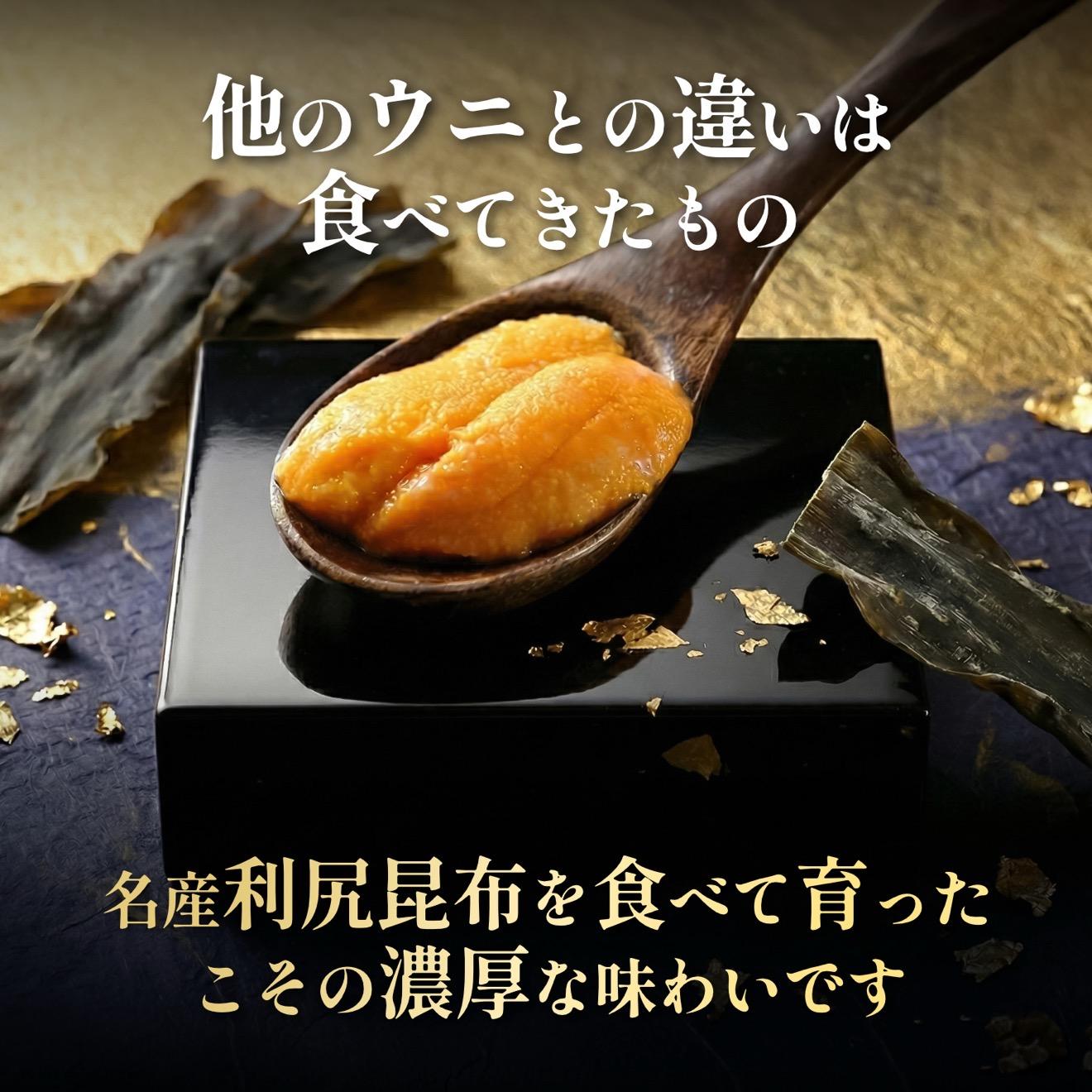 【2026年発送受付】利尻島産「朝どり」塩水生うに200g (100g×2) 天然キタムラサキウニ【6~8月発送分】｜北海道 朝獲れ 天然 塩水  無添加 ミョウバン不使用 [1090030] キタムラサキウニ 200g