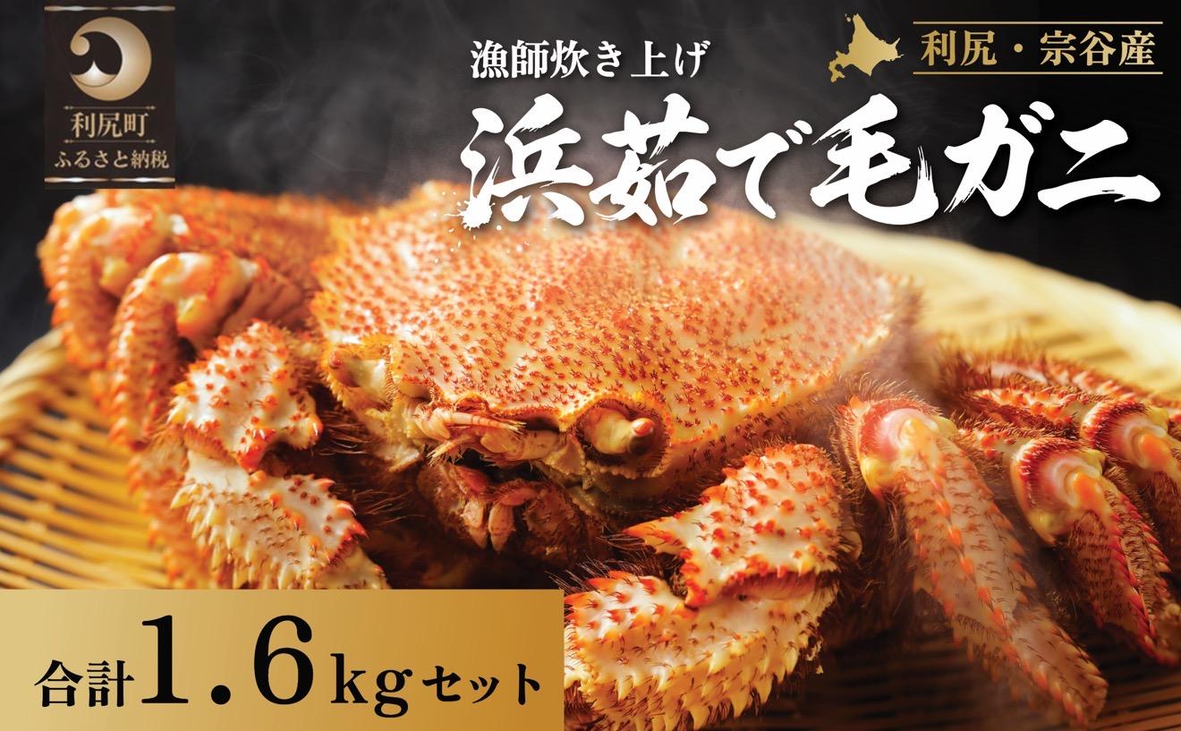 【2026年先行受付】北海道産 浜茹で毛ガニ 合計約1.6kg（未冷凍・チルド配送）利尻・宗谷産【2月より順次出荷】｜毛蟹 蟹 かに カニ味噌 蟹味噌 ボイル 海鮮 魚介 [1060050]