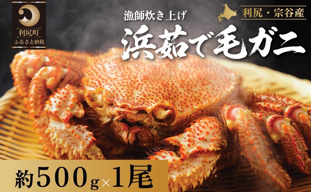 【2026年先行受付】北海道産 浜茹で毛ガニ 500g前後×1尾（未冷凍・チルド配送）利尻・宗谷産【2月より順次出荷】｜毛蟹 蟹 かに カニ味噌 蟹味噌 ボイル 海鮮 魚介 [1060046]