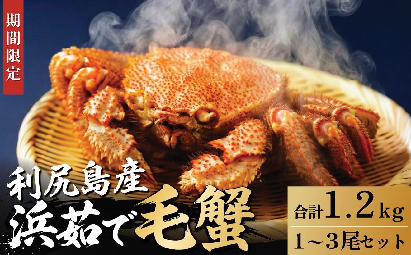 【2026年先行受付】北海道産 浜茹で毛ガニ 合計約1.2kg（未冷凍・チルド配送）利尻産【1月より順次出荷】｜毛蟹 蟹 かに カニ味噌 蟹味噌 ボイル 海鮮 魚介 [1060141]