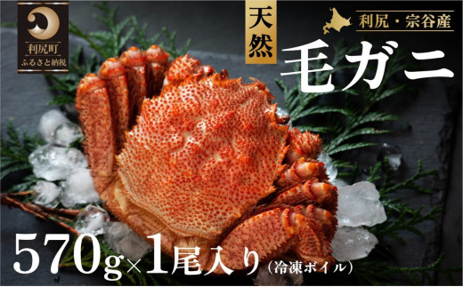 利尻・宗谷産 冷凍ボイル毛蟹 570g前後×1尾 [1060066]