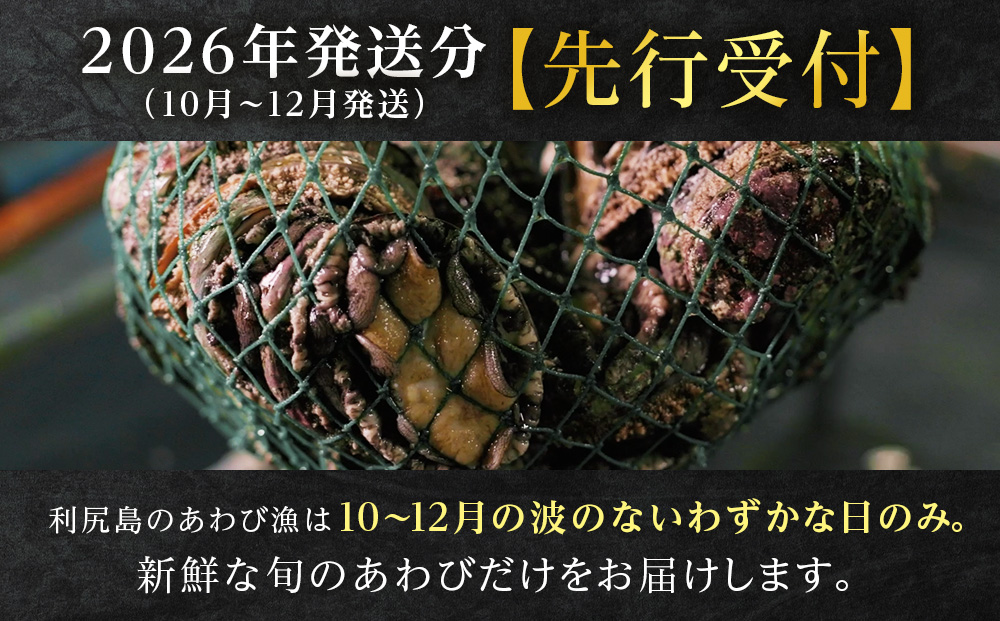 【2026年発送予約】利尻島産 直送！天然 生えぞあわび１kg 鮑 海鮮 冷蔵 お刺身 魚介 お祝い【福士水産】
