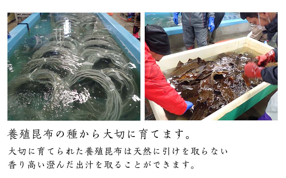 新物予約！北海道利尻島産 長切養殖昆布三等 1kg《昆布屋神兵衛》