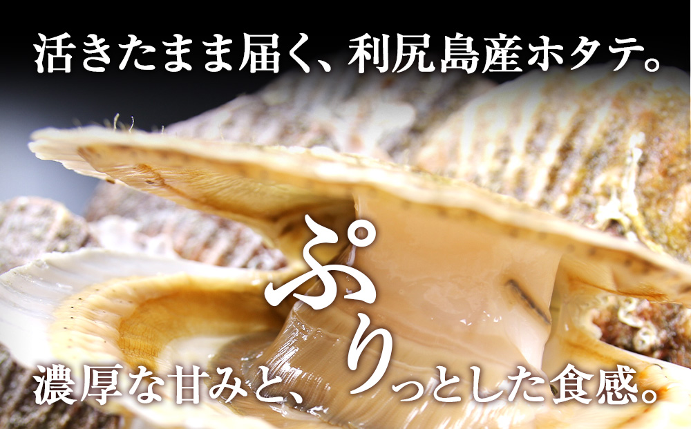 活ホタテ6kg！~2026年9月発送~北海道利尻島から直送！【北勝佐々木】