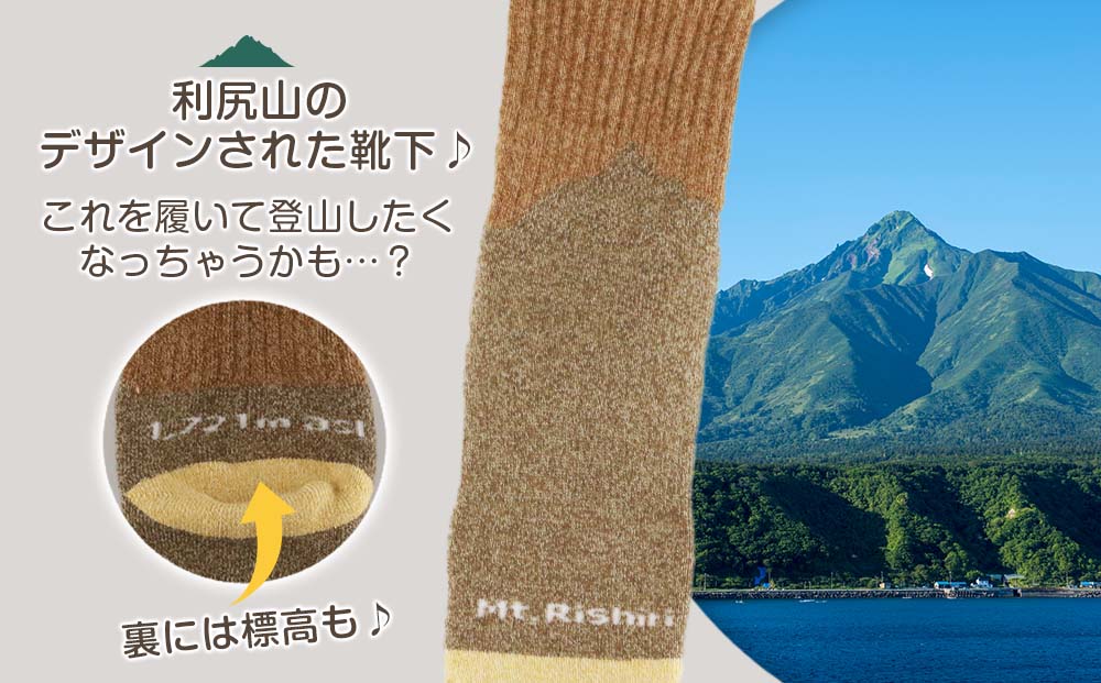 ☆利尻山デザイン☆メンズ用靴下1足(ブラウン)