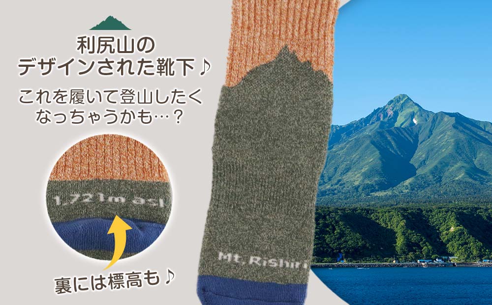 ☆利尻山デザイン☆メンズ用靴下1足(オレンジ)