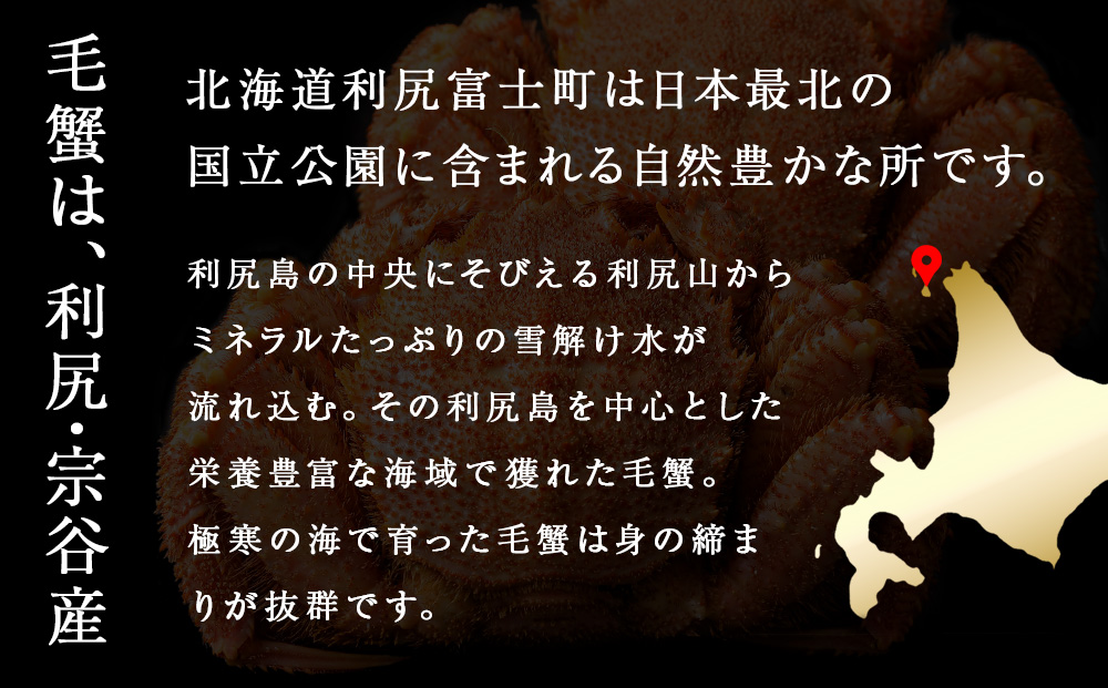 【2026年1月発送】 毛ガニ 特大（900g前後） 1尾＜利尻漁業協同組合＞