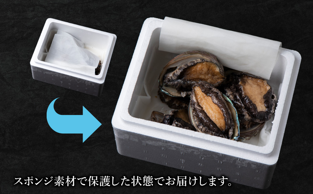 【2026年発送予約】利尻島産 直送！天然 生えぞあわび１kg 鮑 海鮮 冷蔵 お刺身 魚介 お祝い【福士水産】