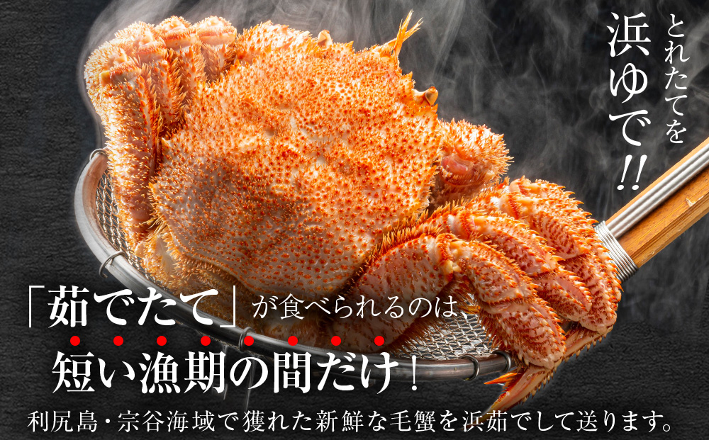 【2026年発送予約】チルドでお届け！ 浜茹で毛ガニ特々大２尾（不揃い合計約2kg） 〈福士水産〉