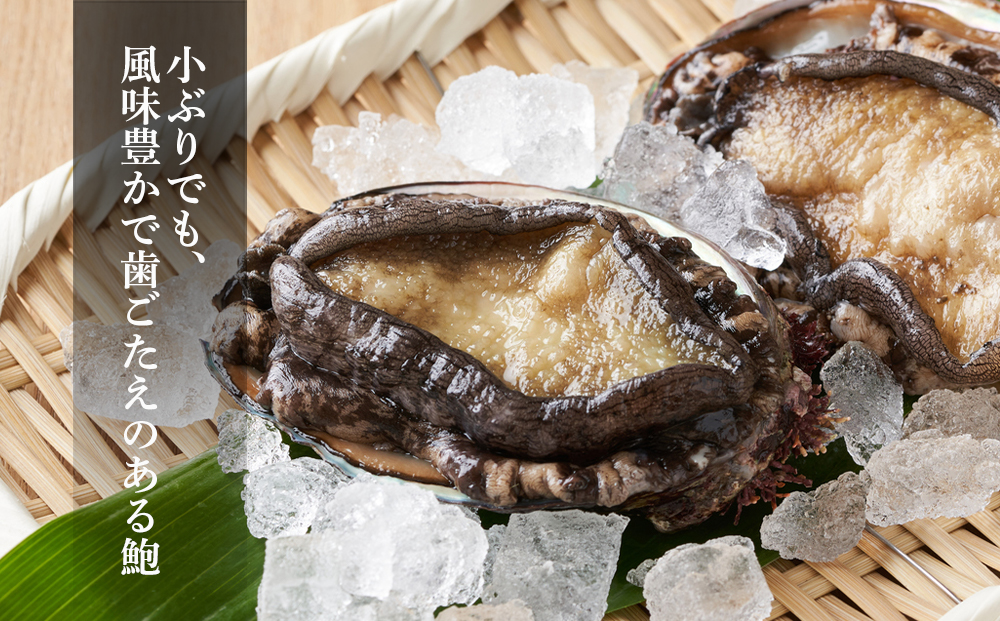 【期間限定・価格見直し】 利尻島産・あわび醤油煮 3缶《利尻漁業協同組合》