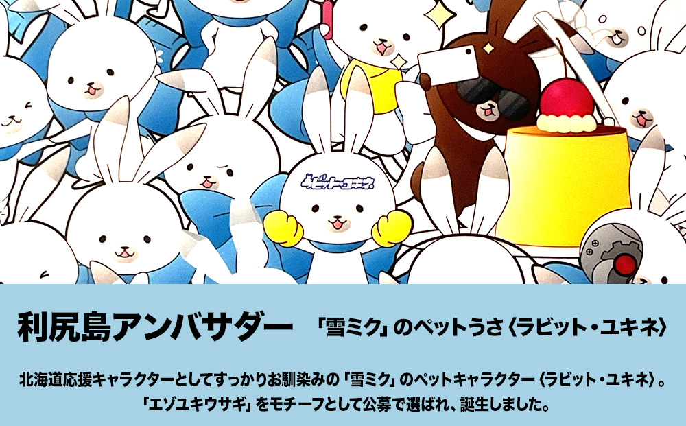 【雪ミク　スカイタウン限定】ラビット・ユキネ マスコットぬいぐるみ