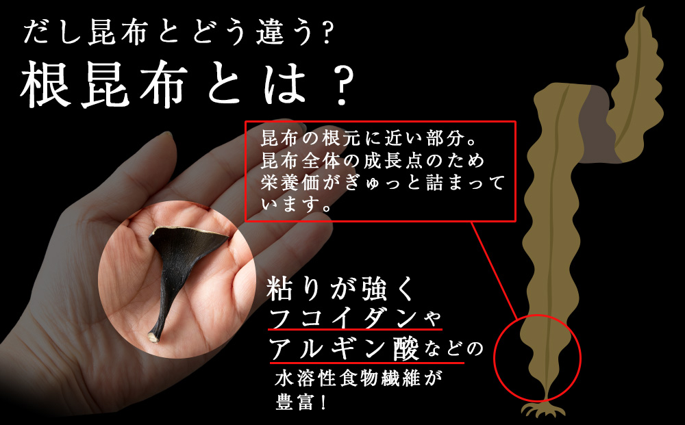 利尻島産 根昆布 12袋セット＜利尻漁業協同組合＞