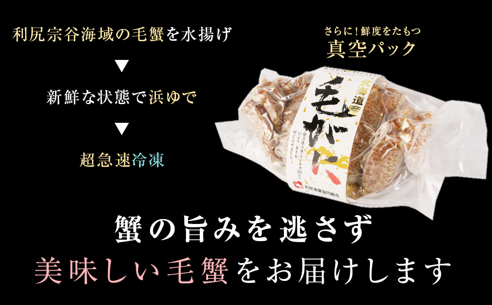 【2026年1月発送】 毛ガニ 特大（900g前後） 1尾＜利尻漁業協同組合＞