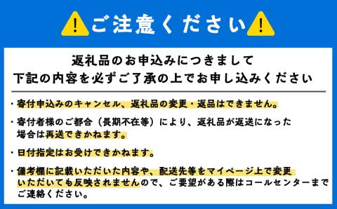 エメラルドグリーンの海を満喫！】利尻島シーカヤックツアー（60分）☆ペア体験チケット: 利尻富士町ANAのふるさと納税