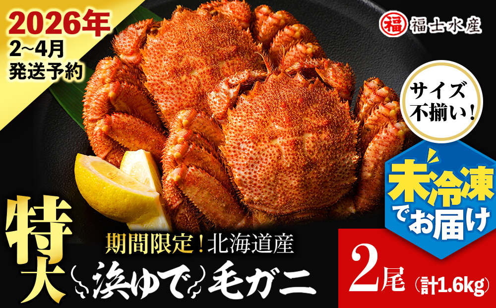 【2026年発送予約】チルドでお届け！ 浜茹で毛ガニ特大２尾（不揃い合計約1.6kg） 〈福士水産〉 謝礼品名カナ	