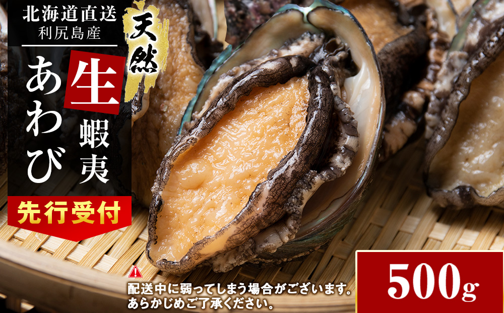 【2026年発送予約】利尻島産 直送！天然 生えぞあわび 500g 鮑 海鮮 冷蔵 お刺身 魚介 お祝い【福士水産】