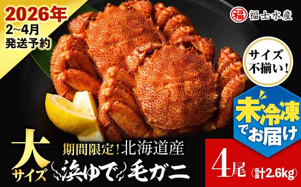 【2026年発送予約】チルドでお届け！ 浜茹で毛ガニ大サイズ４尾（不揃い合計約2.6kg） 〈福士水産〉