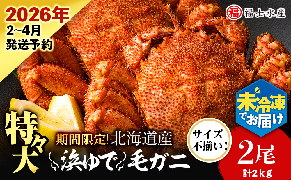 【2026年発送予約】チルドでお届け！ 浜茹で毛ガニ特々大２尾（不揃い合計約2kg） 〈福士水産〉