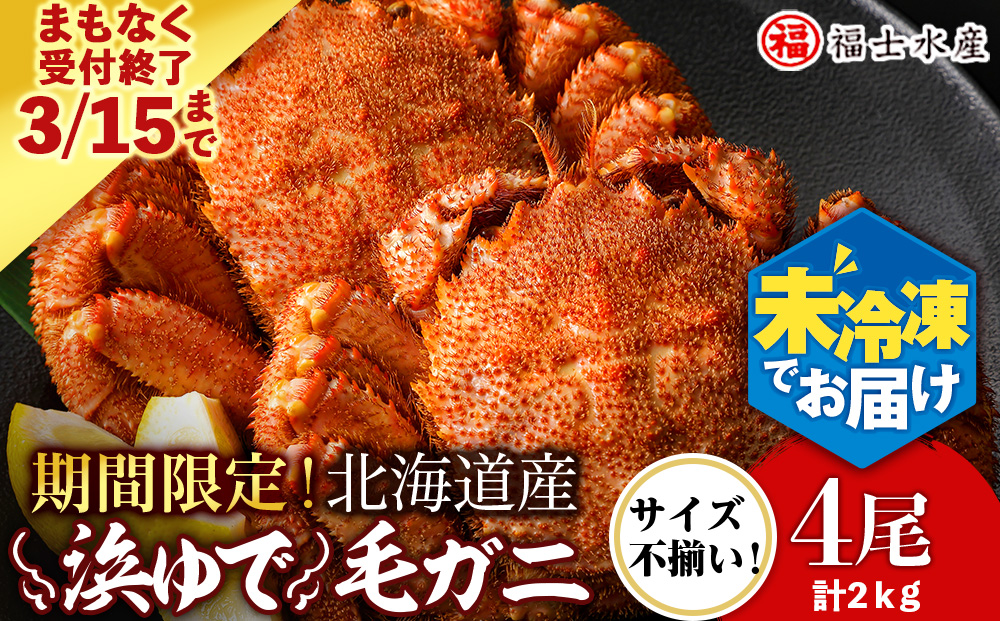 【2026年発送予約】チルドでお届け！ 浜茹で毛ガニ中サイズ４尾（不揃い合計約2kg） 〈福士水産〉