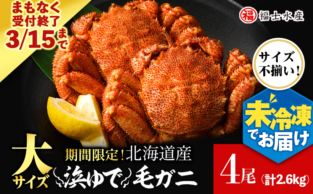 【2026年発送予約】チルドでお届け！ 浜茹で毛ガニ大サイズ４尾（不揃い合計約2.6kg） 〈福士水産〉