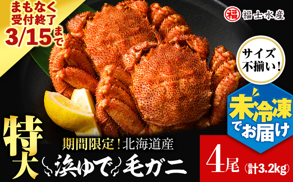 【2026年発送予約】チルドでお届け！ 浜茹で毛ガニ特大４尾（不揃い合計約3.2kg） 〈福士水産〉