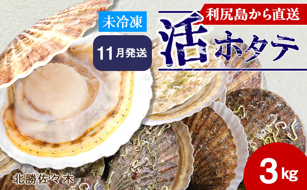 活ホタテ3kg！~2026年11月発送~北海道利尻島から直送！【北勝佐々木】