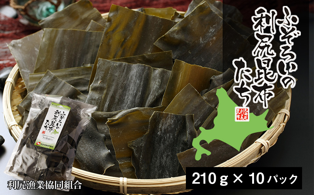 《利尻漁業協同組合》ふぞろいの利尻昆布たち 10袋