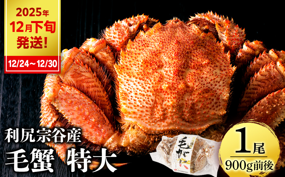 【2025年12月24日～12月30日発送】  毛ガニ 特大（900g前後） 1尾＜利尻漁業協同組合＞