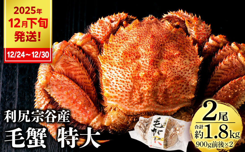 【2025年12月24日～12月30日発送】  毛ガニ 特大（900g前後） 2尾＜利尻漁業協同組合＞
