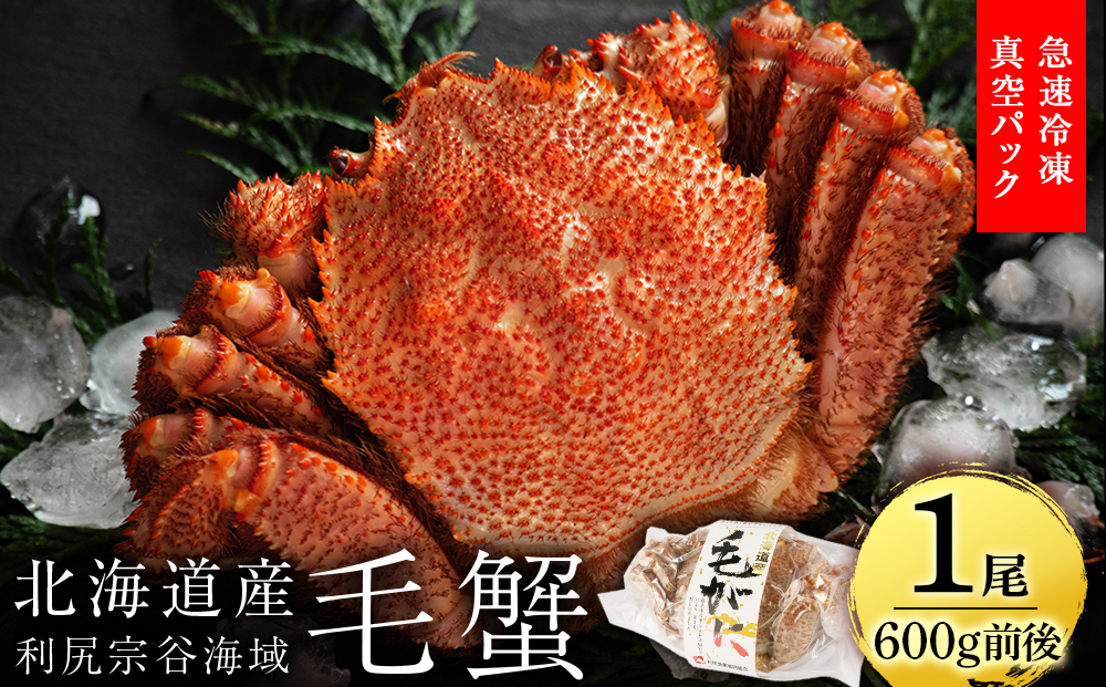 北海道 利尻・宗谷産 毛ガニ 中サイズ（600g前後）1尾＜利尻漁業協同組合＞