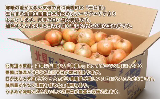【令和8年産 先行予約】玉ねぎLサイズ・20kg（2026年10月上旬より順次発送） BHRG030