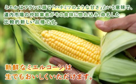 [先行受付]2026年産 スウィートコーン!「はちみつのような甘さのミエルコーン」11本【配送不可地域：離島】 BHRG004
