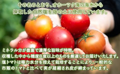 【先行予約】美幌町産・旨味凝縮のオホーツク塩トマト 約1kg（2026年7月下旬より順次発送） BHRG006